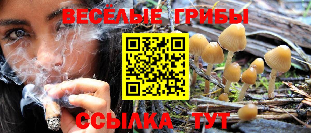 Галлюциногенные грибы мухоморы  Псилоцибиновые грибы Psilocybine cubensis  Ипатово  Вход с VPN 